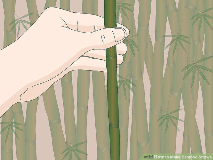 How to Make Bamboo Straws