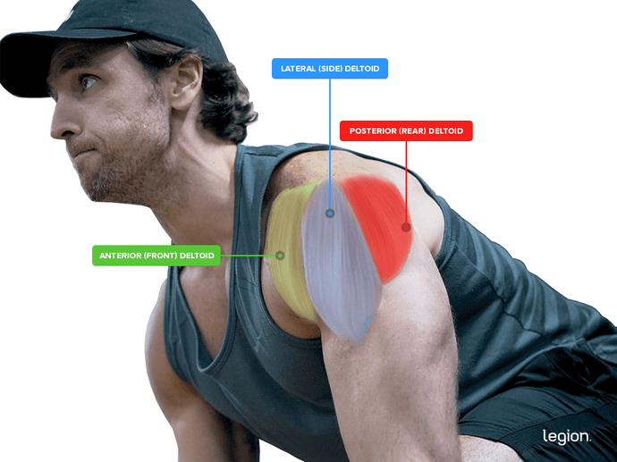 The 10 Best Front Delt Exercises