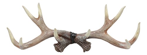 Ebros Rustic Hunter's 10 Point Stag Deer Antlers Rack Wall Plaque 17
