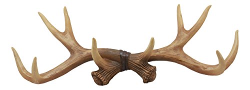 Ebros Rustic Hunter's 10 Point Stag Deer Antlers Rack Wall Plaque 17
