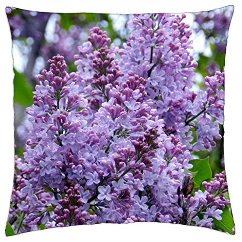 Set Of 2 Belt Hooks Closet / Door Hangers - Home-Aide All Purpose